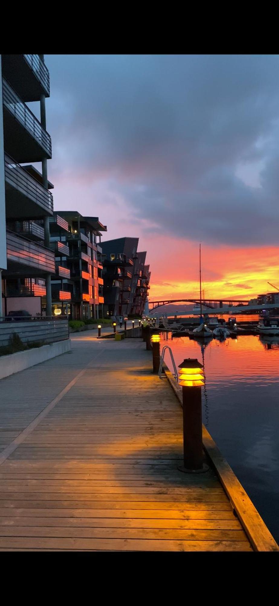 Nydelige Damsgardsveien, 3-Roms Moderne Leilighet! Bergen Bagian luar foto